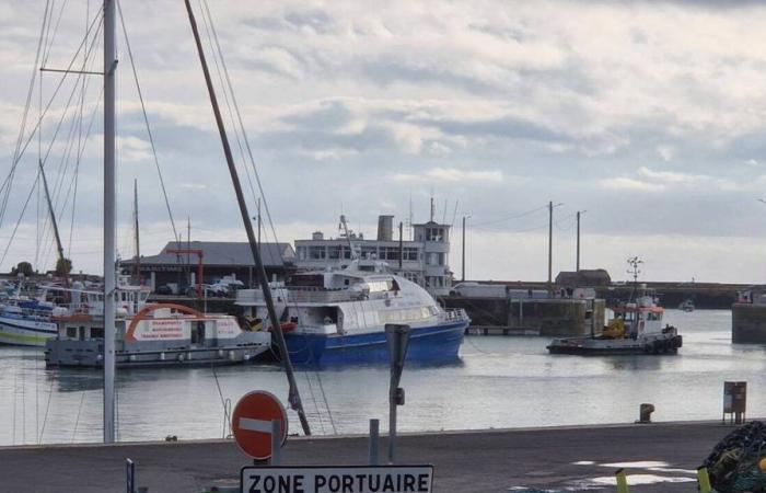 Liaisons entre la Manche et l’Anglo-Normandie. « Nous avons transporté 56 375 passagers en 2024 »