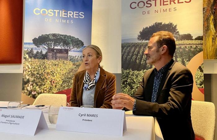 FACT OF THE DAY AOC Costières de Nîmes: a changing appellation