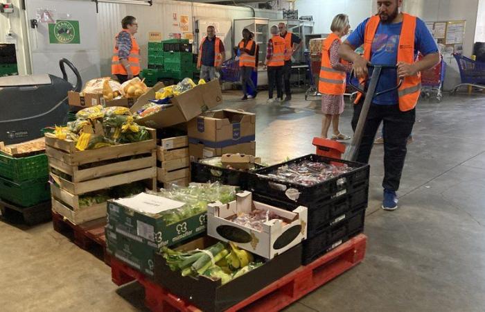 La Banque Alimentaire du Gard organise ce samedi une journée portes ouvertes pour fêter ses 40 ans