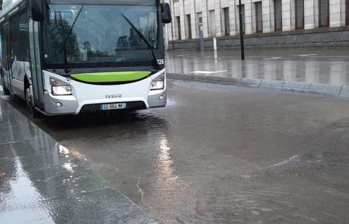 apprenez à gérer les inondations lors de la journée de la résilience