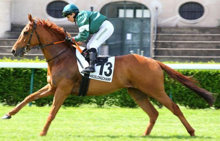 un bel exemple de solidarité dans la course automobile