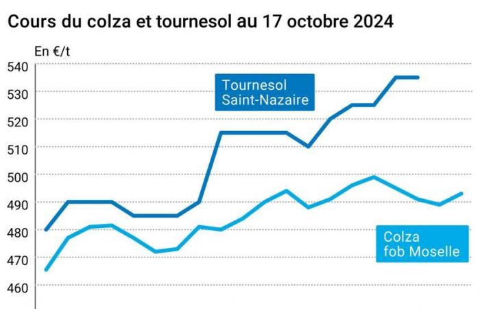 Oléagineux – Hausse des prix du colza et du soja sur les marchés mondiaux