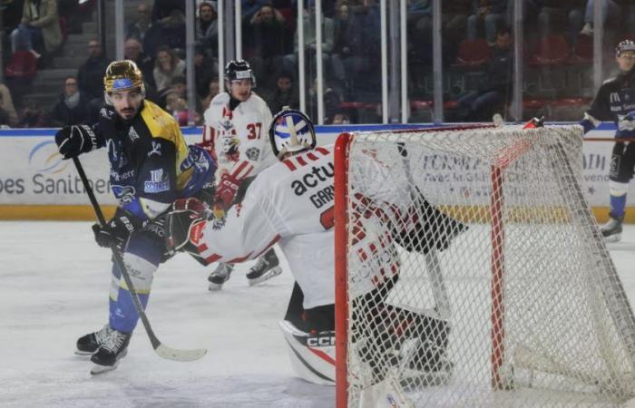 Hockey sur glace – Ligue Magnus. Gap gagne enfin, Grenoble et Chamonix ont dû se battre, Briançon perd d’un cheveu… les résultats de la 11ème journée