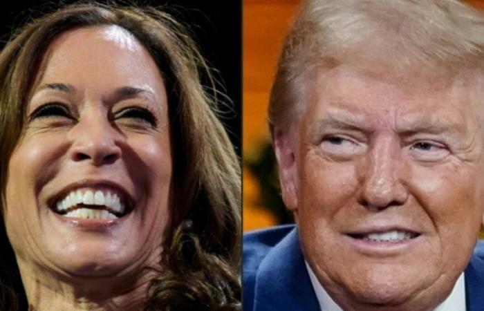 Trump et Harris s’arrêtent dans le même État clé, le Michigan : Actualités