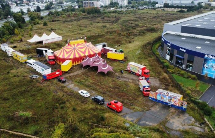 Installation sous tension d’un cirque dans cette ville des Yvelines