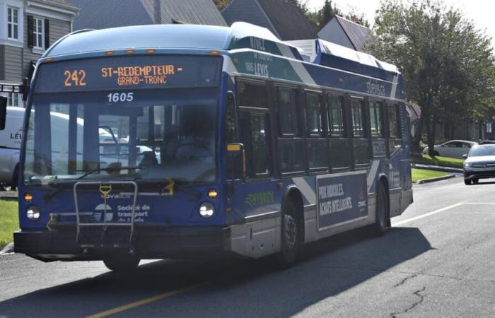 Les étudiants de Lévis jugés « très mal » servis