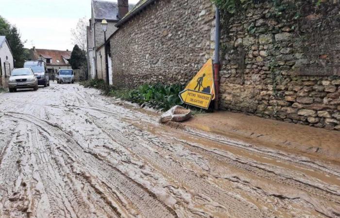 La vallée de Chevreuse et le sud des Yvelines sous les eaux, des habitants en plein désarroi