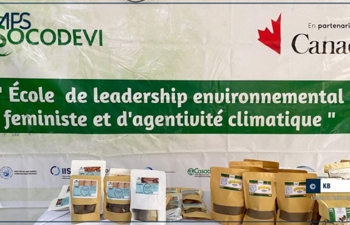 lancement du programme « École de leadership féministe environnemental et agence climatique » – Agence de presse sénégalaise