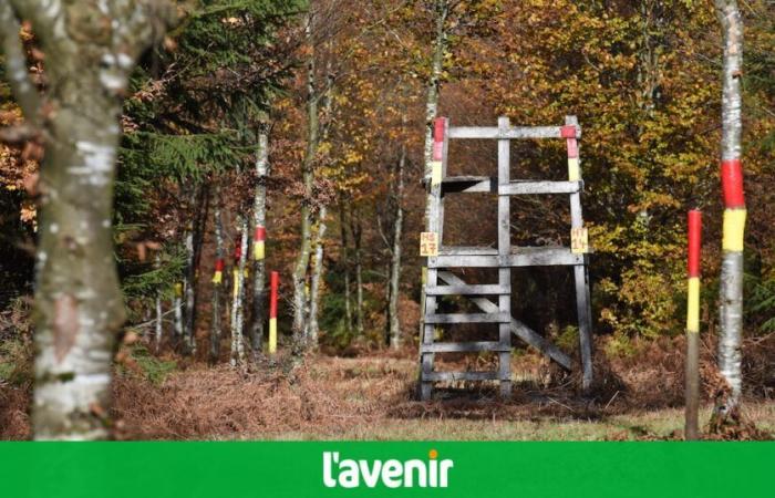 Des dizaines de forêts interdites en Wallonie pendant ce premier week-end des vacances de Toussaint pour les promenades à pied, à vélo et à la cueillette (carte)