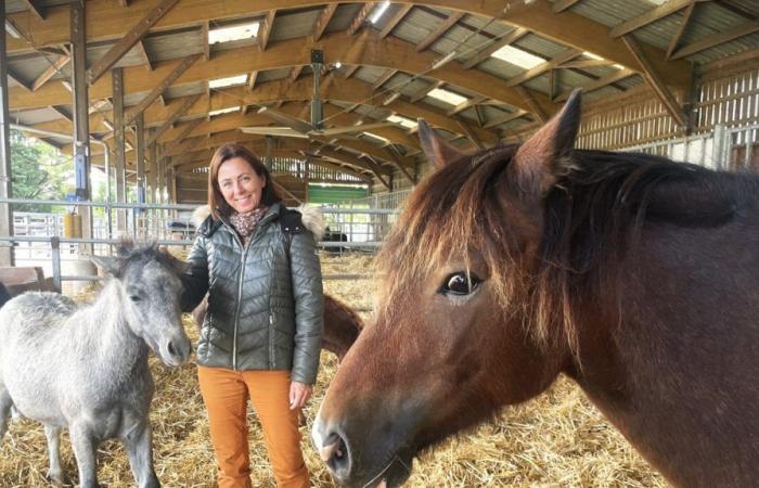 Léa Lansade, chercheuse à l’Inrae, récompensée par le prix Pégase