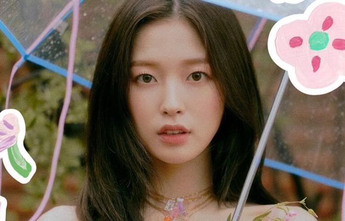 Arin (OH MY GIRL) remporte un procès contre une société de jeux vidéo et une société de publicité qui ont refusé de la payer – K-GEN