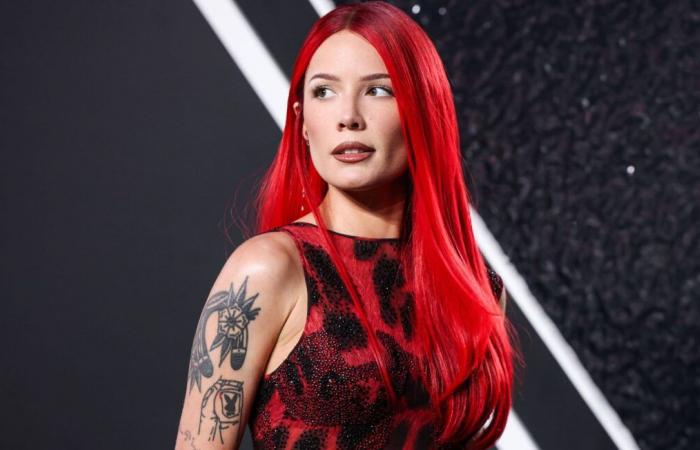 En devenant un mème sur les réseaux, la chanteuse Halsey laisse ses fans faire sa promotion