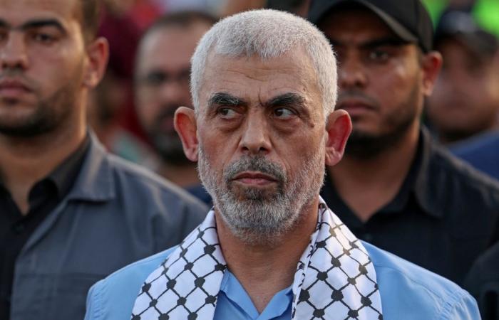 Le porte-parole de l’armée israélienne détaille la mort du chef du Hamas Yahya Sinouar