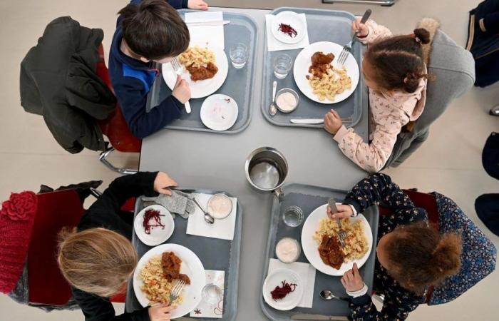 Les produits locaux ont la cote dans les collèges de Charente-Maritime