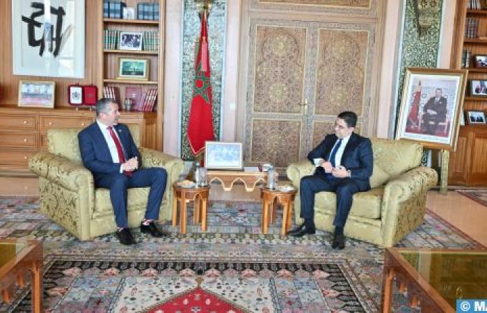 Le secrétaire général de l’OMI, Nasser Bourita, rencontre le secrétaire général de l’OMI, Nasser Bourita, à Rabat