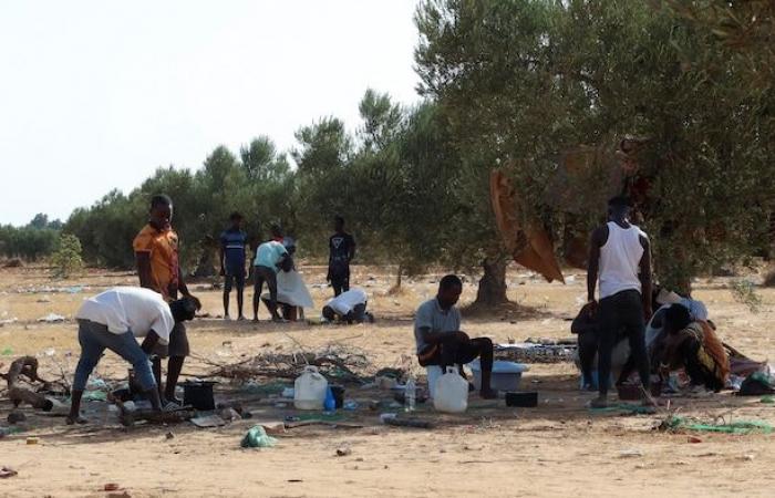 « Une prison à ciel ouvert » : la Tunisie critiquée pour son traitement des migrants