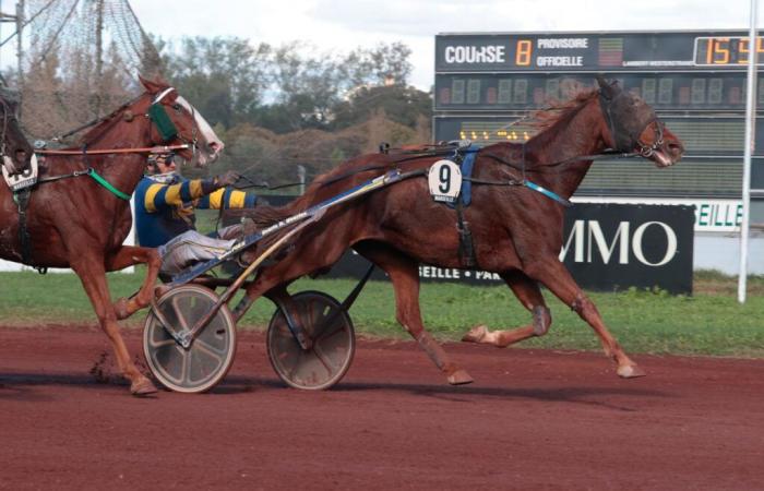 La Géode du Cherisay domine le classement des favoris