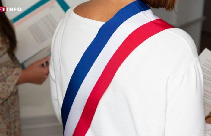 une conseillère de Haute-Garonne démissionne face à « la dégradation de sa santé mentale »