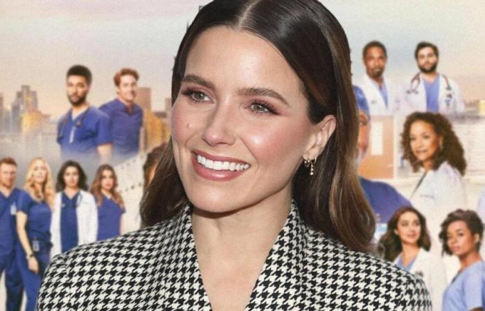 Sophia Bush des « Scott Brothers » jouera dans « Grey’s Anatomy »