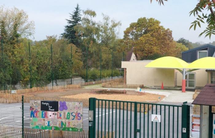 dans cette commune de Seine-et-Marne, la nouvelle cour oasis inquiète les parents