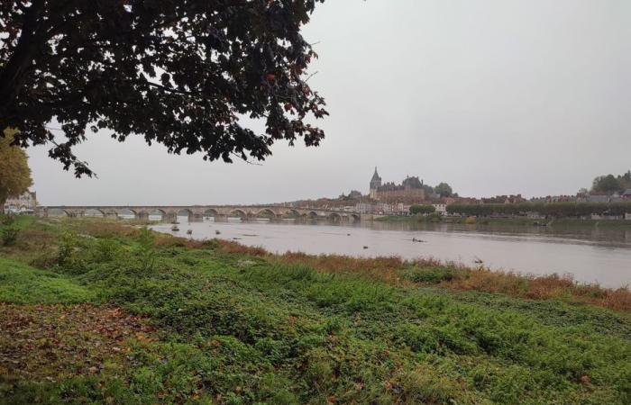 La Loire va-t-elle déborder dans les prochains jours dans le Centre-Val de Loire ?