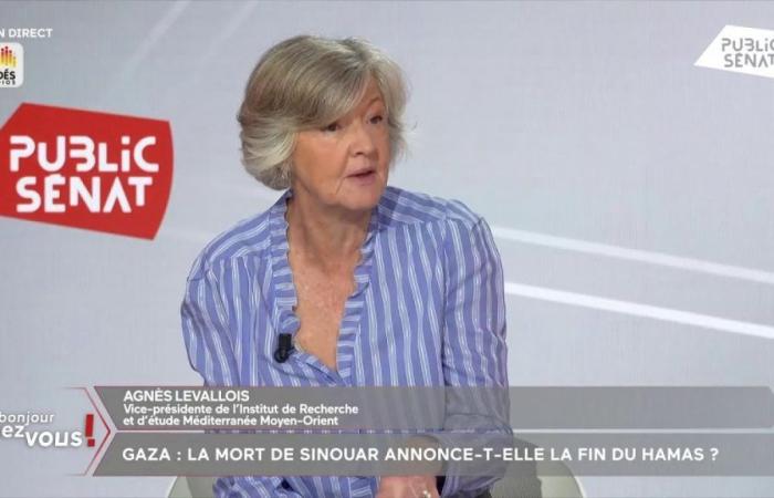 “Tant que les otages ne seront pas libérés, l’armée israélienne continuera”, analyse Agnès Levallois