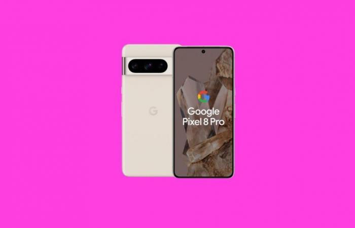 Le prix du Google Pixel 8 Pro baisse aussi vite que son stock sur ce site bien connu