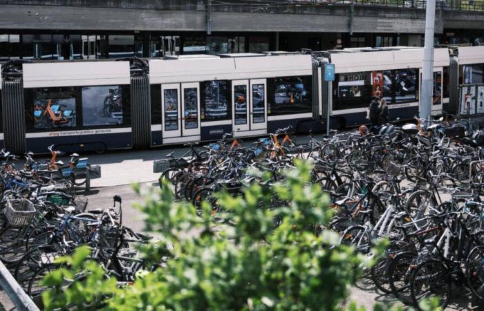 Antonio Gambardella, directeur de Fongit : « Cela ne sert à rien de courir après les licornes »