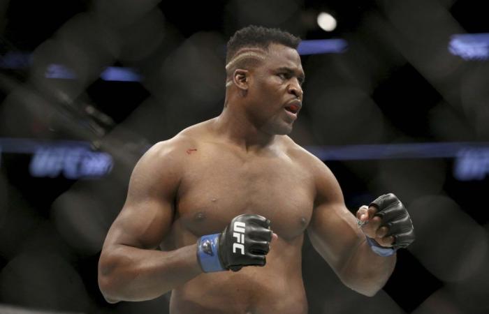 Pour son retour, le « Predator » Ngannou assomme. Ferreira en moins de quatre minutes