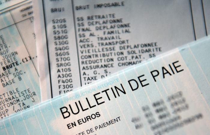 Qui sont les 230 000 fonctionnaires dont les salaires seront augmentés au 1er novembre ?