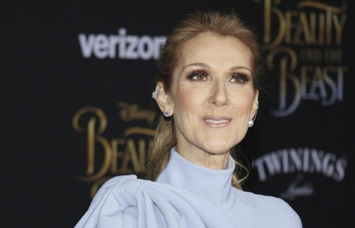 Céline Dion, artiste mais aussi femme d’affaires : Découvrez sa fortune