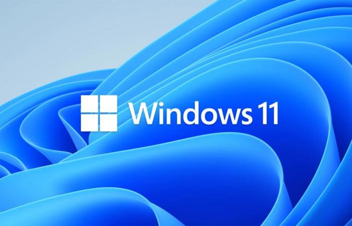 Cette version allégée de Windows 11 réduit la mise à jour 24H2 de 30 à 4 Go, parfait pour les PC plus anciens