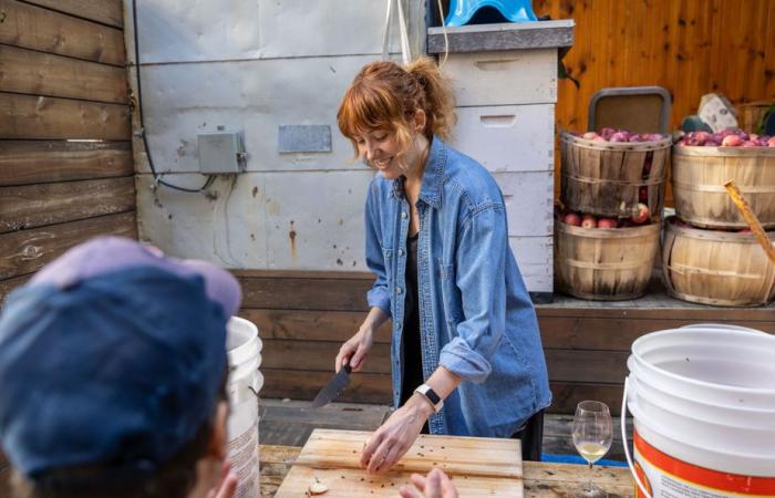 Enquête (très sérieuse) sur l’alcool fait maison