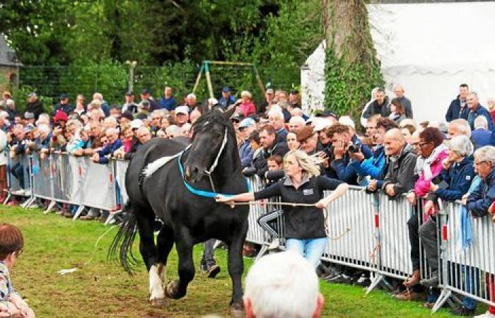 Que faire en Bretagne ce week-end du 19 et 20 octobre 2024 ? Nos dix coups de coeur