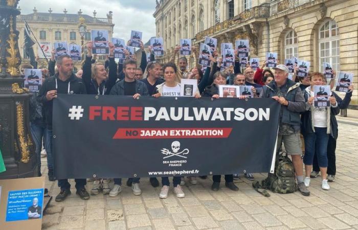 Une centaine de personnes rassemblées place Stanislas à Nancy pour soutenir Paul Watson