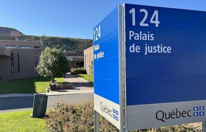 Accusations criminelles pour deux chasseurs gaspésiens