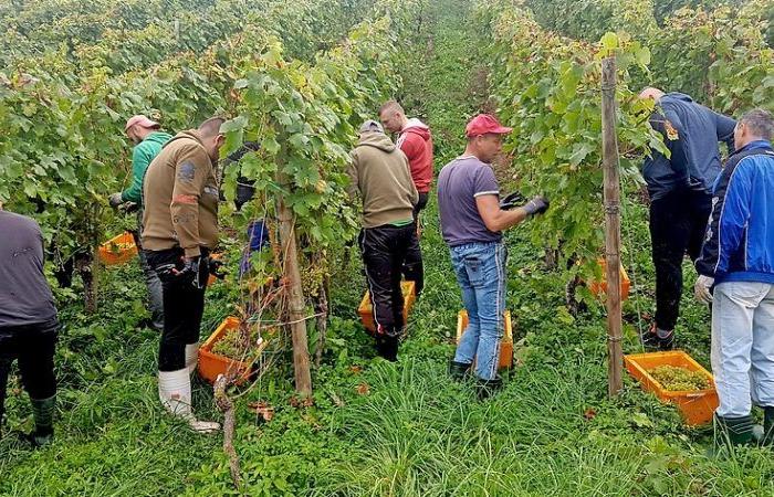 une année difficile sur la Moselle