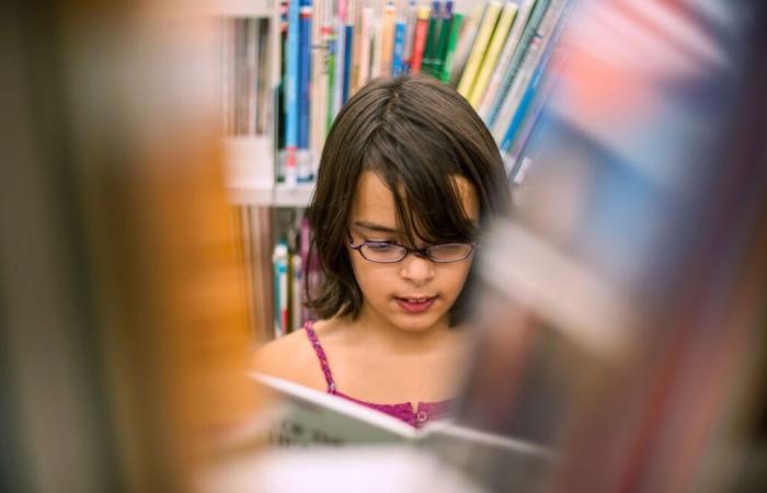 Beaucoup de nouveaux livres dans les écoles, trop peu de bibliothécaires