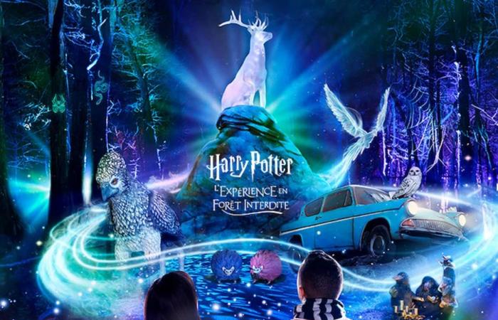 Émerveillez-vous et vivez la magie de la Forêt Interdite de Harry Potter, une première en France