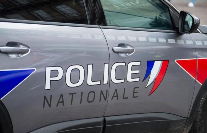 un homme tue son voisin avec une tronçonneuse