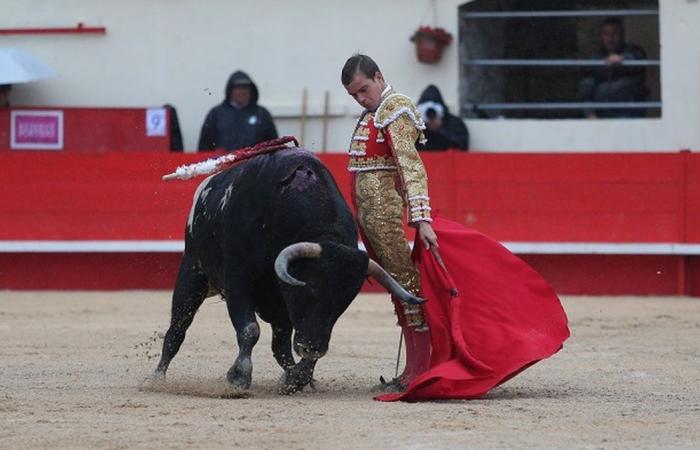 INFO DU SOIR Un toro pour un rêve d’enfant