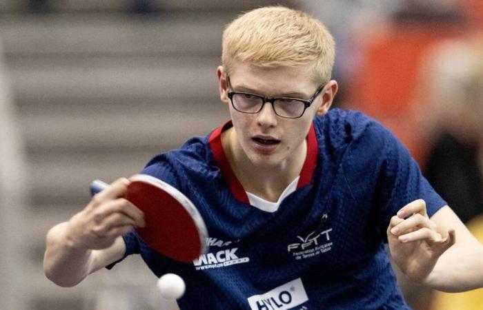 Tennis de table. Félix Lebrun éliminé par Benedikt Duda en quarts de finale des Championnats d’Europe