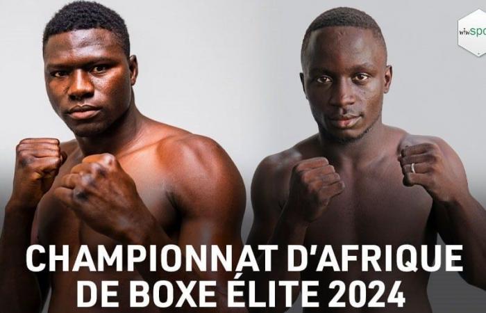 Championnats d’Afrique Elite – Avec 12 boxeurs, le Sénégal entre en lice ce soir !