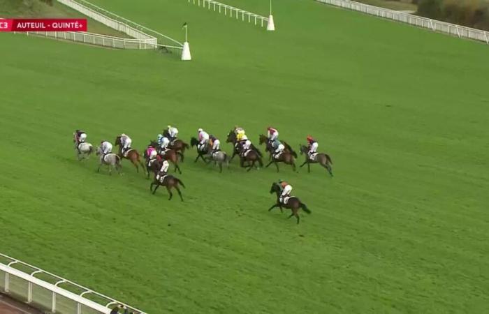 Quinté+ : PRIX DU PRINCE D’ECOUEN – AUTEUIL – 19/10/2024 : partants, pronostics et résultats en vidéo – Course 3