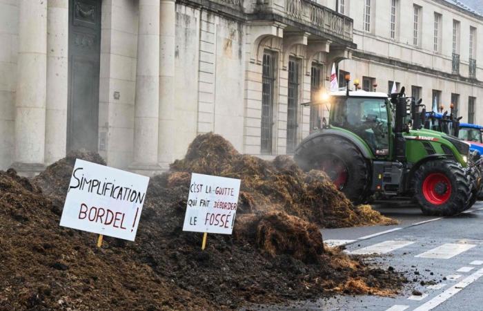 En Occitanie, les agriculteurs mécontents multiplient les actions, près d’un an après le dernier mouvement