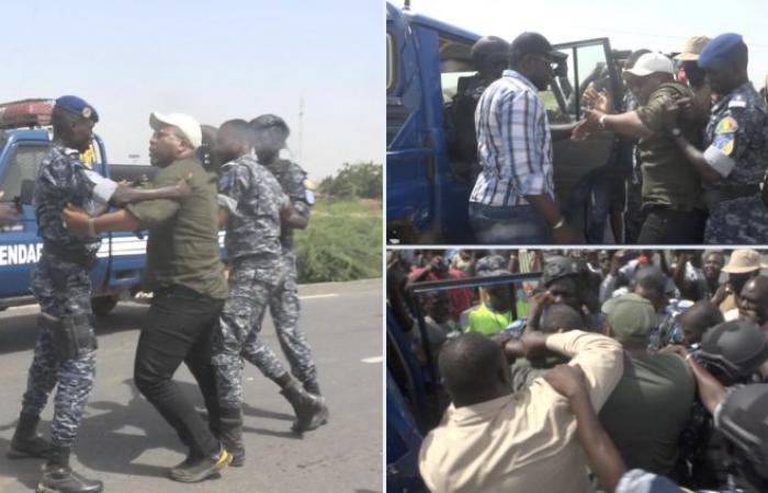 Bougane Gueye Dany a été arrêté pour refus d’obtempérer (Gendarmerie)