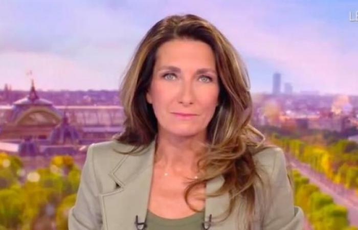 Anne-Claire Coudray sur TF1 en poste près de 1,5 million de plus que Laurent Delahousse sur France 2 – La 2ème partie de TPMP sur C8 est le double de celle de Quotidien sur TMC