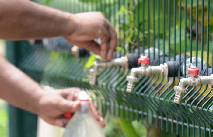 Mayotte, quand l’eau produite ne suffit plus à respecter le planning des coupures hebdomadaires