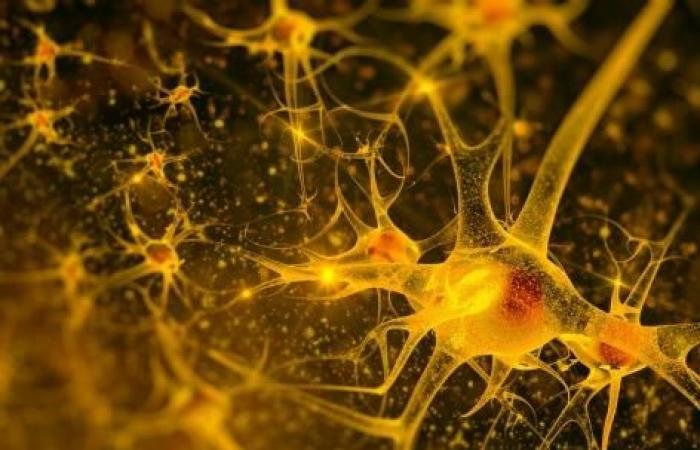 Substances chimiques : leurs effets neurotoxiques s’accumulent