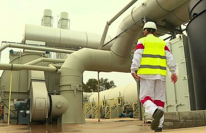 l’usine de recyclage des déchets de poulet ne sent pas le sacré